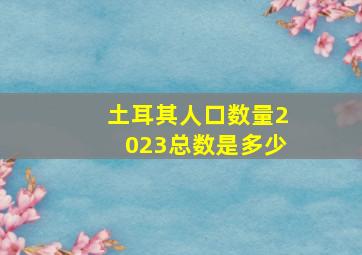 土耳其人口数量2023总数是多少