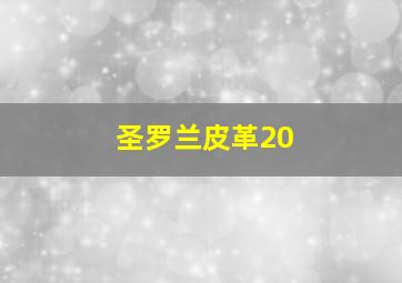 圣罗兰皮革20