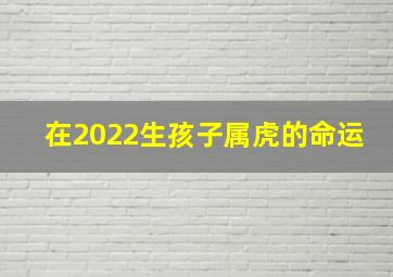 在2022生孩子属虎的命运