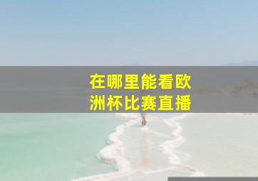 在哪里能看欧洲杯比赛直播