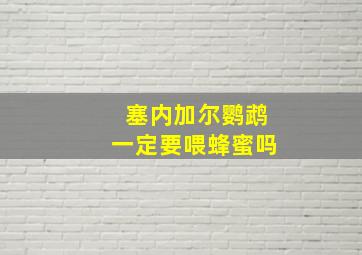 塞内加尔鹦鹉一定要喂蜂蜜吗