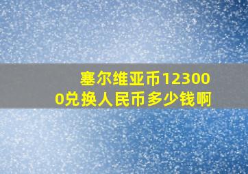 塞尔维亚币123000兑换人民币多少钱啊