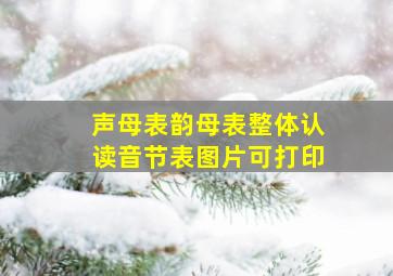 声母表韵母表整体认读音节表图片可打印