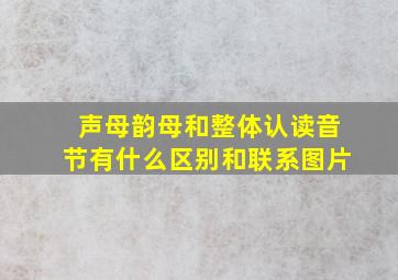 声母韵母和整体认读音节有什么区别和联系图片