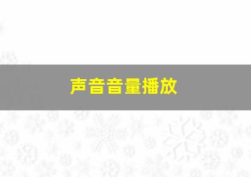 声音音量播放