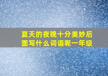 夏天的夜晚十分美妙后面写什么词语呢一年级