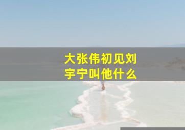 大张伟初见刘宇宁叫他什么