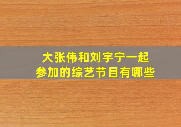 大张伟和刘宇宁一起参加的综艺节目有哪些