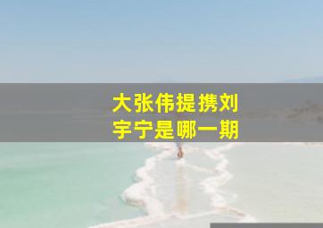 大张伟提携刘宇宁是哪一期