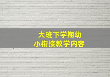 大班下学期幼小衔接教学内容