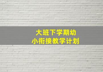 大班下学期幼小衔接教学计划