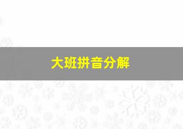 大班拼音分解