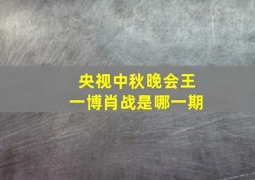 央视中秋晚会王一博肖战是哪一期