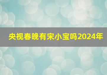 央视春晚有宋小宝吗2024年