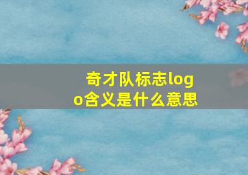 奇才队标志logo含义是什么意思