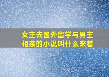 女主去国外留学与男主相亲的小说叫什么来着