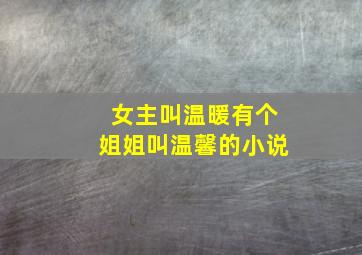 女主叫温暖有个姐姐叫温馨的小说