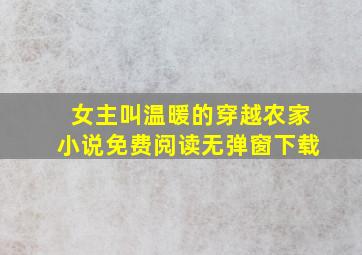 女主叫温暖的穿越农家小说免费阅读无弹窗下载