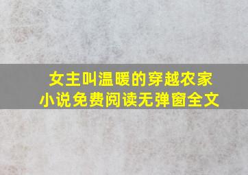 女主叫温暖的穿越农家小说免费阅读无弹窗全文