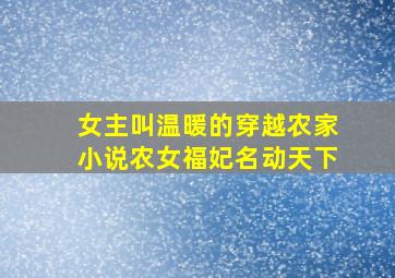 女主叫温暖的穿越农家小说农女福妃名动天下