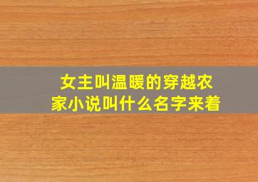 女主叫温暖的穿越农家小说叫什么名字来着