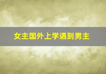 女主国外上学遇到男主