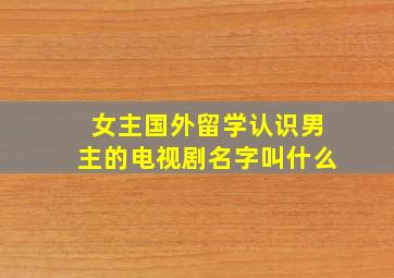 女主国外留学认识男主的电视剧名字叫什么