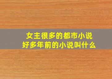 女主很多的都市小说好多年前的小说叫什么