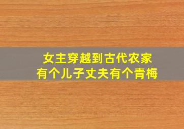 女主穿越到古代农家有个儿子丈夫有个青梅