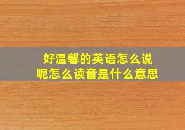 好温馨的英语怎么说呢怎么读音是什么意思