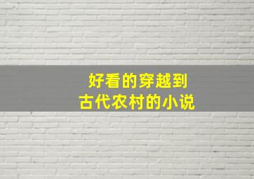 好看的穿越到古代农村的小说