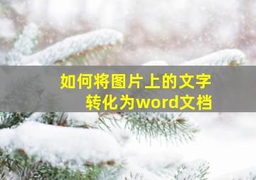 如何将图片上的文字转化为word文档