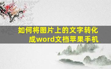 如何将图片上的文字转化成word文档苹果手机