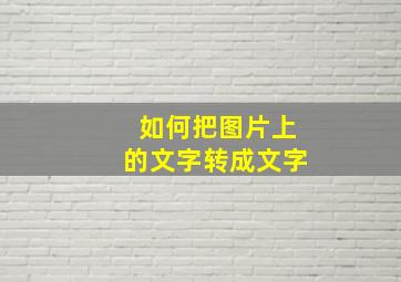 如何把图片上的文字转成文字