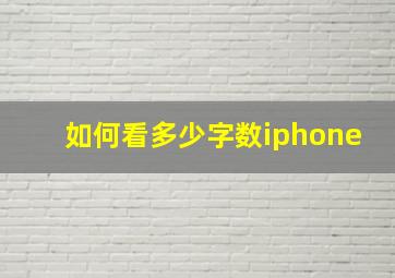 如何看多少字数iphone