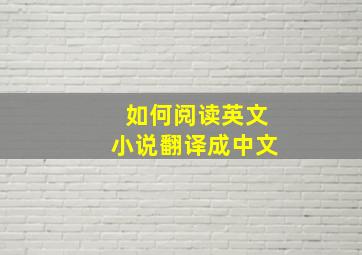 如何阅读英文小说翻译成中文