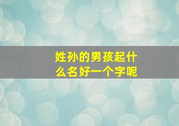 姓孙的男孩起什么名好一个字呢