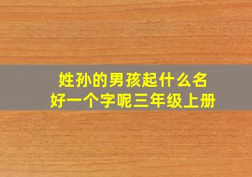 姓孙的男孩起什么名好一个字呢三年级上册