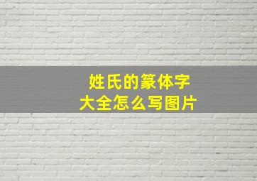 姓氏的篆体字大全怎么写图片