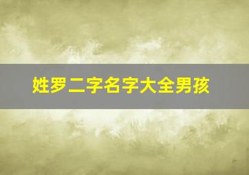 姓罗二字名字大全男孩