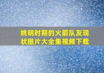 姚明时期的火箭队友现状图片大全集视频下载