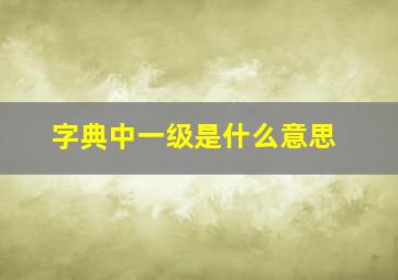 字典中一级是什么意思