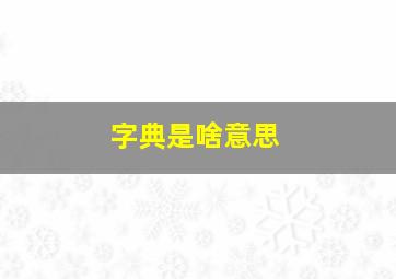 字典是啥意思