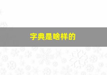 字典是啥样的