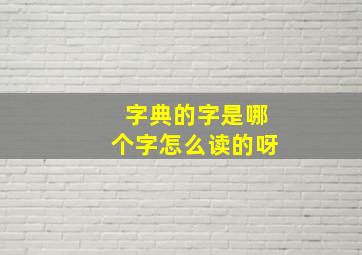 字典的字是哪个字怎么读的呀