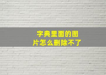 字典里面的图片怎么删除不了