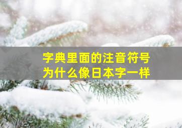 字典里面的注音符号为什么像日本字一样