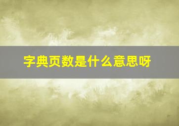 字典页数是什么意思呀