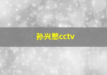 孙兴慜cctv