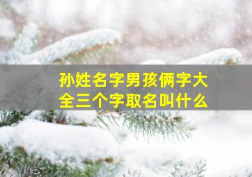 孙姓名字男孩俩字大全三个字取名叫什么